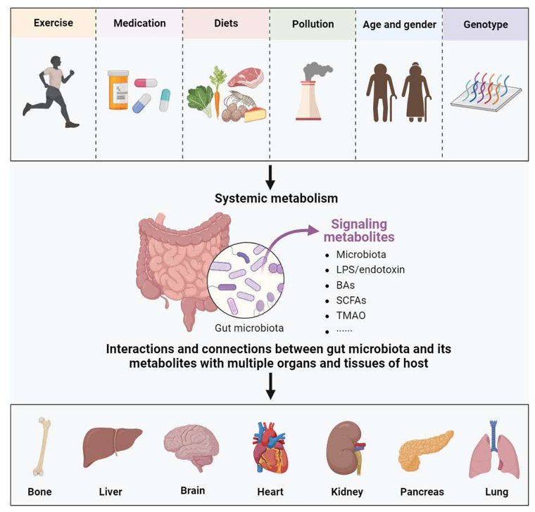 instituto_lala's tweet photo. Microbiota sana: Determinante para el fortalecimiento de los huesos.  Conoce en esta minuciosa publicación los factores de la dieta que favorecen al desarrollo de una microbiota sana y con ello la salud ósea.

https://t.co/h711M94EOt https://t.co/38E4ZzQGFR