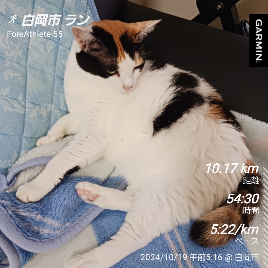 shuu_run's tweet photo. おはようございます🙋
なぜかパラパラと小雨が降ったりしてた、朝からけっこう暑かったなー、朝ラン終了です。
#ランニング #garmin #beatyesterday https://t.co/mAqEFr46jv