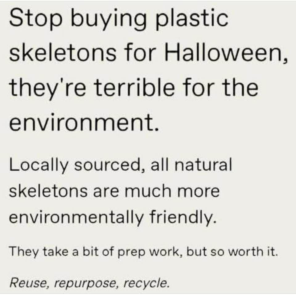 ThriftedCrafter's tweet photo. Support your community by sourcing locally. #Sustainability #halloween https://t.co/2z9cDAa6IC