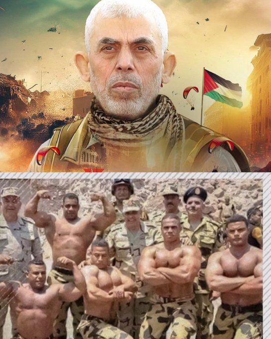 SW News - SOFT WAR NEWS tweet media