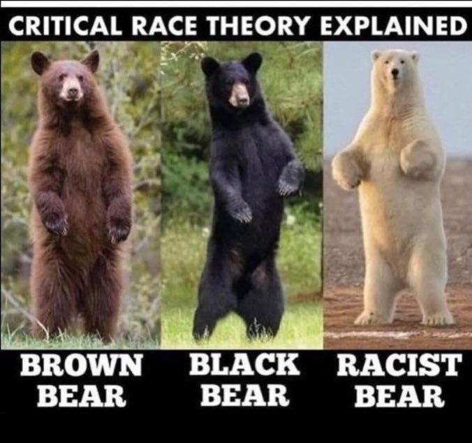 Steven Kim tweet media