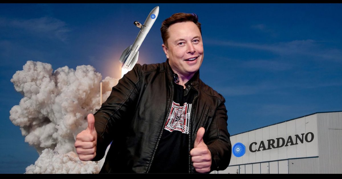 See you in the moon🚀🌑
$PESO
#SpaceX,#PESO,#Cardano