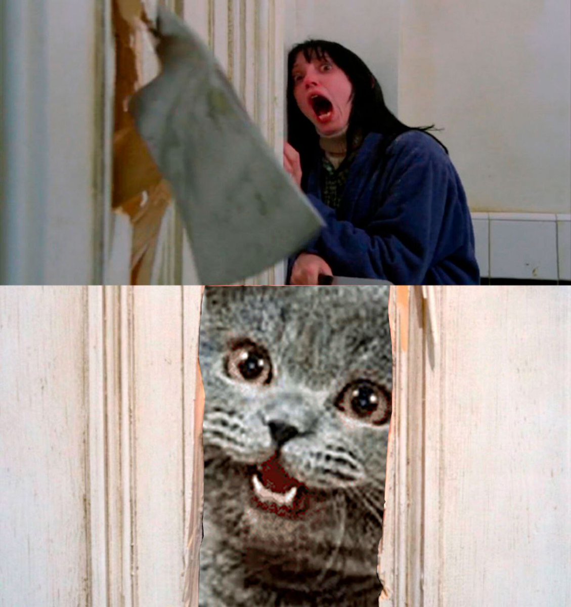 Me comin for that $CHEEZ 🍔