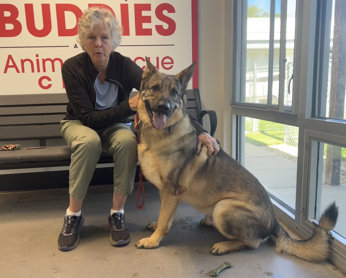 DUKE got ADOPTED! 😍😍😍

TYSM Mom &amp; <a href="/BrandywineSPCA/">Brandywine Valley SPCA</a> 

bvspca.org

Visit your local animal shelter today &amp; #AdoptDontShop 

Follow these rescue advocates to help get more pets adopted:

Twitter / X / Rescue Network  ⬇️⬇️⬇️ <a href="/MaxyT76/">Miss Tee-M</a>

<a href="/TaniaHop3/">Tania H.-A Voice for the Voiceless</a> <a href="/WinglessBird_/">DK</a>