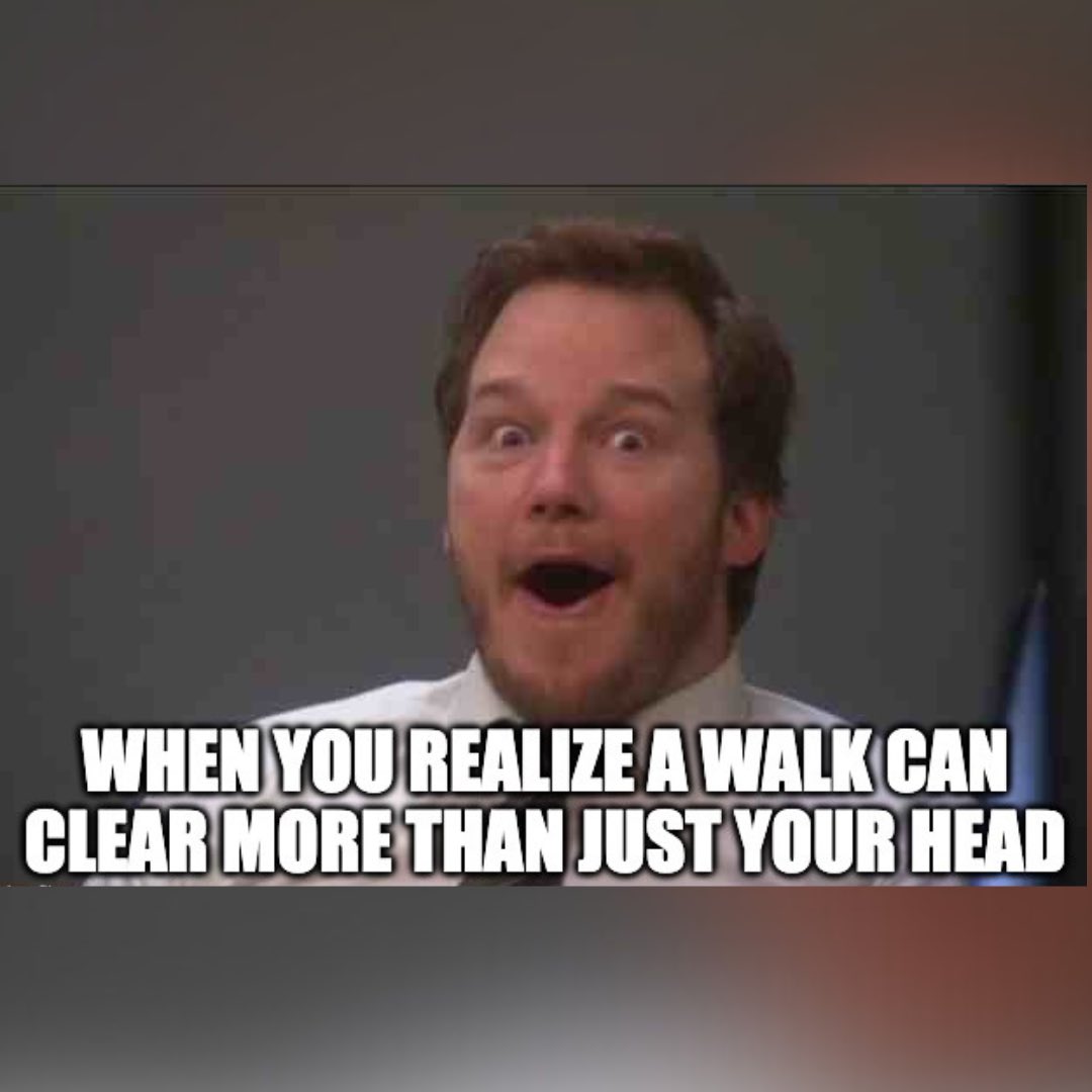 Mercedes Terrell tweet media