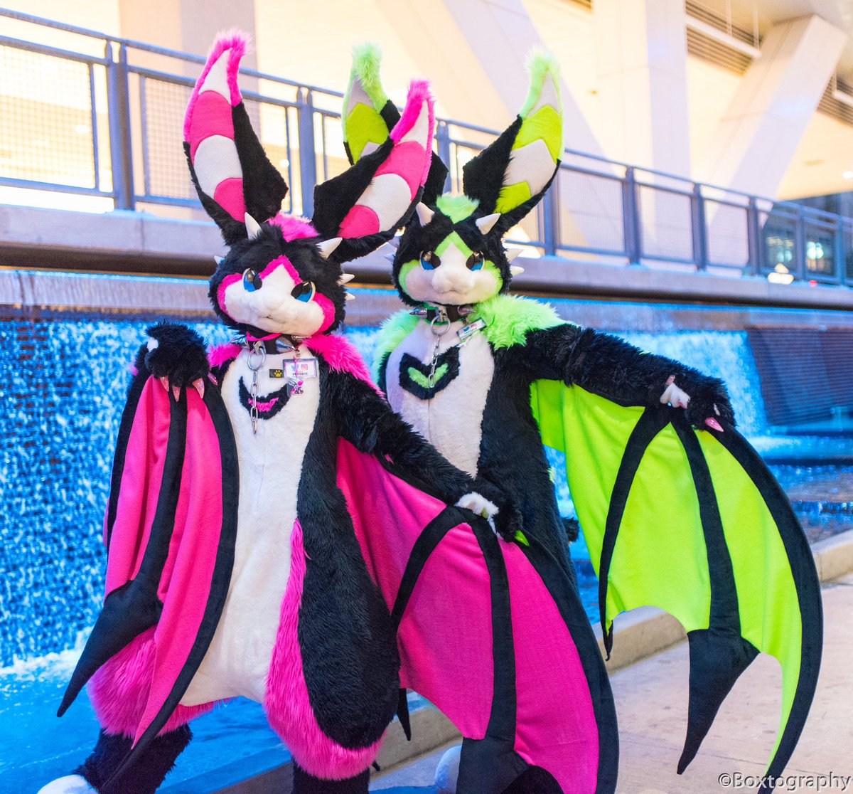 poofsuits's tweet photo. It’s BAT time of the year! 🦇 🦇 

💖💚
#fursuit #furry #fursuitfriday #furryfandom

📸: Boxtography https://t.co/VZNGMifNEP