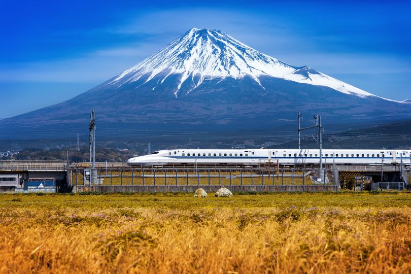 Booking Travel - Cheap Flights & Tours tweet media