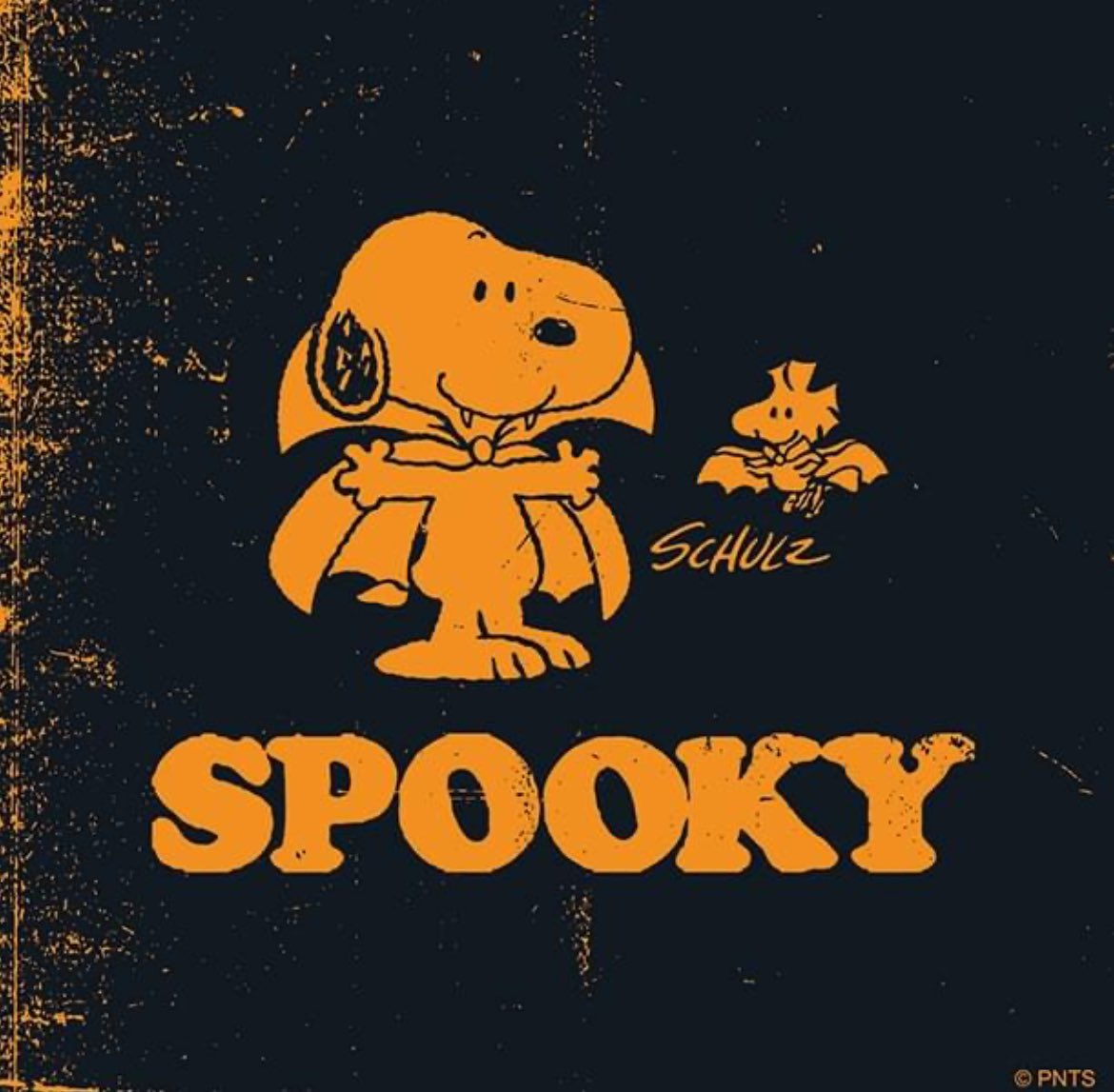 Peanuts_4Fans's tweet image. Spooky crew! #Peanuts