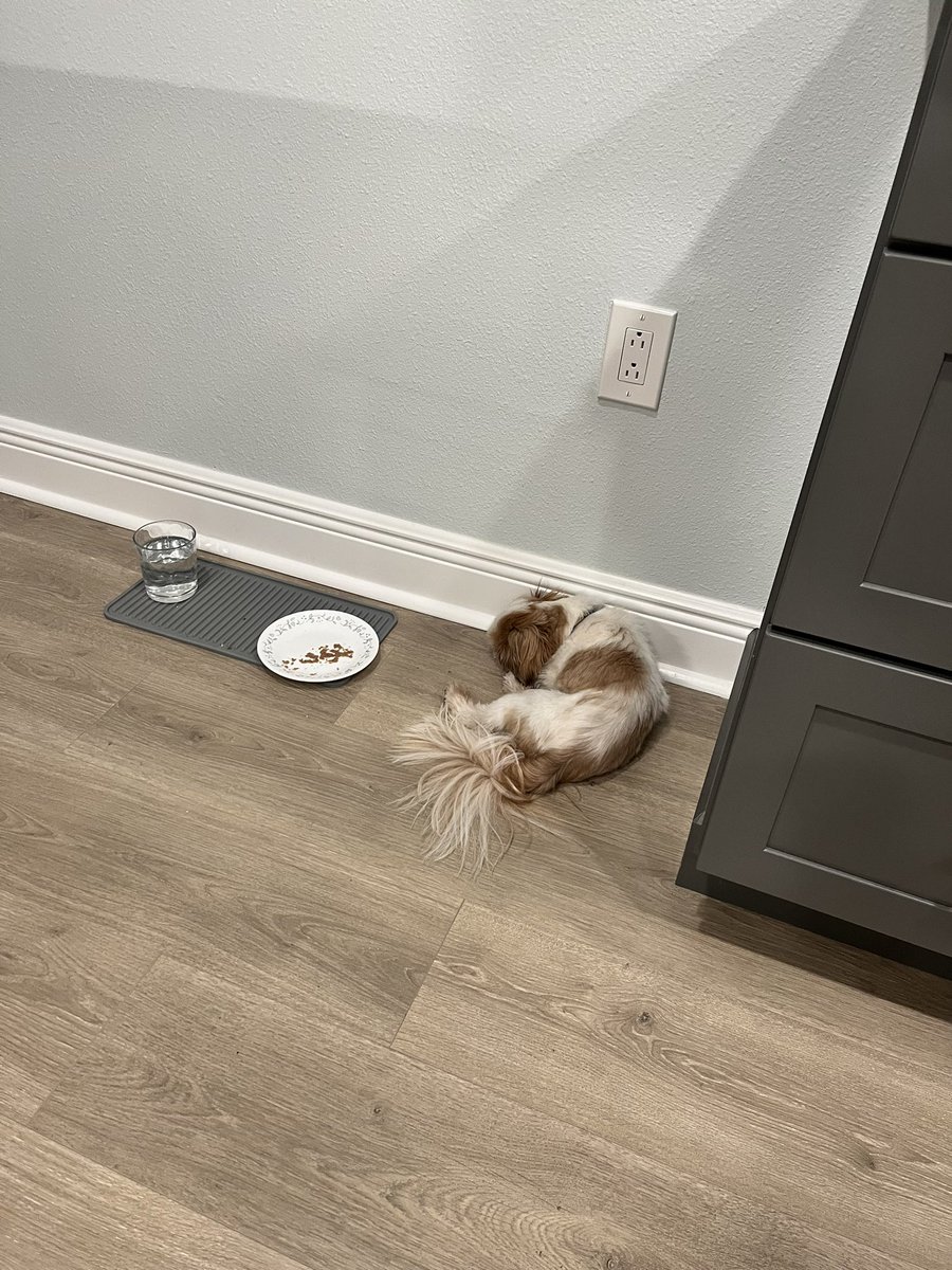 After dinner nap! I would have went to the sofa. 😂