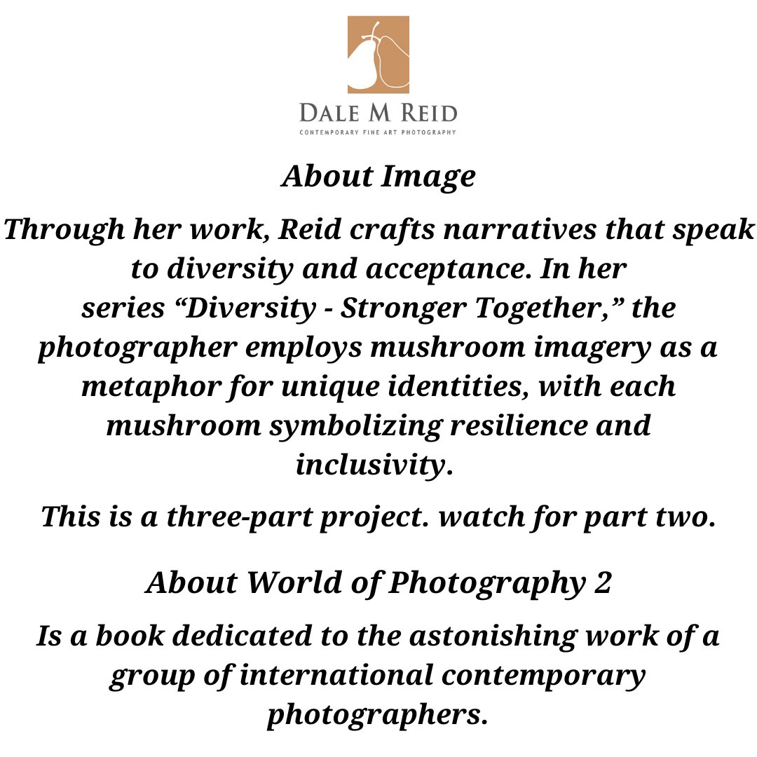 DaleMReid1's tweet photo. #creativity #newyorkcity #lisbon #porto #zurich #contemporaryart #fineart #mushrooms #artbooks #toronto #canada #artcollectors #unitedstates #barcelona #spain #portugal #miami #miamibeach #santafe #publication #buyart #venice #equality #socialjustice #artivism #humanrights #LGBTQ https://t.co/4hk0OCT0MI