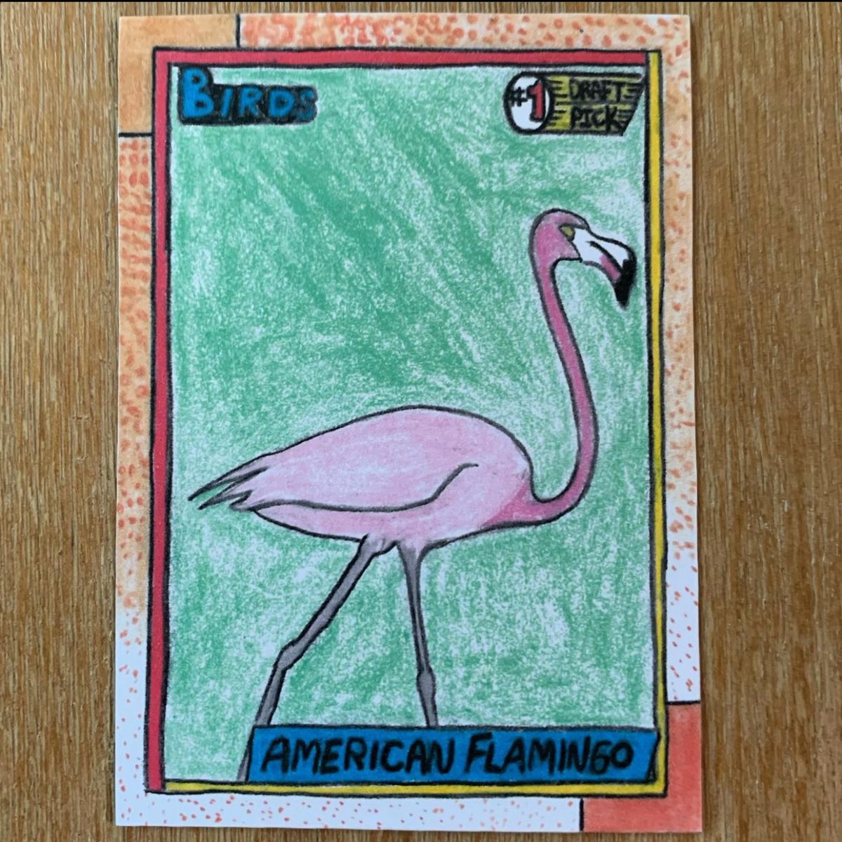 American Flamingo. 1990 Topps style. 

#cardart #americanflamingo #flamingo #baseballcards #birds #animalart #collect #sportscards #indiepress #tradingcards #birding #audubonsociety #birding #birdart