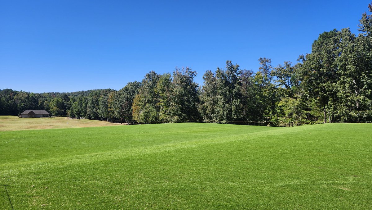 standardkev's tweet image. The ryegrass is ryegrassing!
Stripes to come...
#TheLegacyCourse