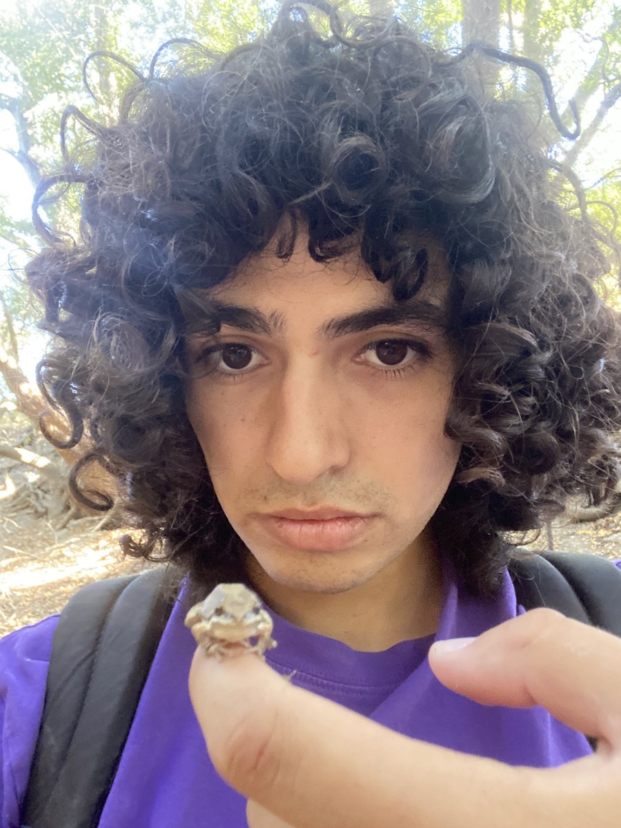scumboishit's tweet image. #frogcore