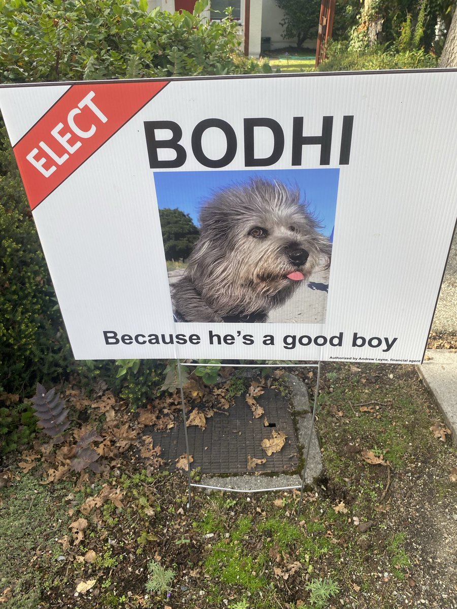 Les Leyne tweet media