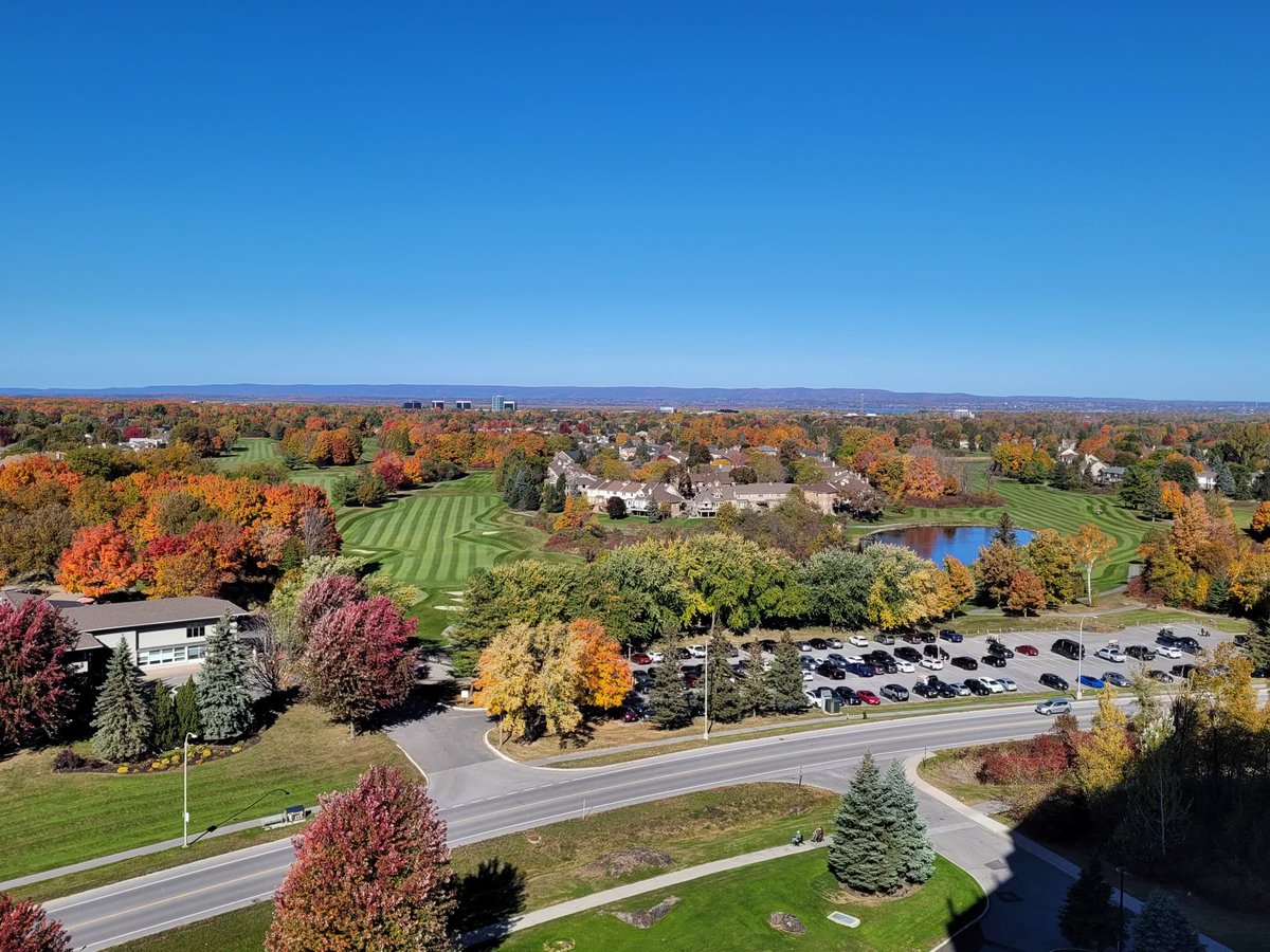 Tim Bonnar (@timmybonnar) on Twitter photo 