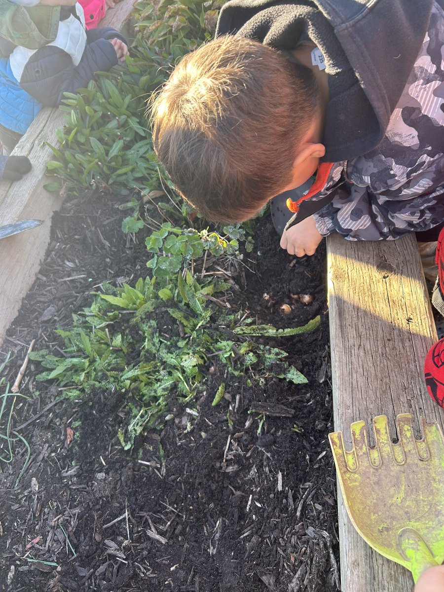 Thank to SG parent council for giving us some money to buy bulbs and soil for our gardens! <a href="/dsbn/">District School Board of Niagara</a> <a href="/senatorgibson1/">Senator Gibson</a>