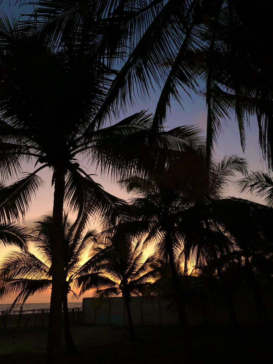 r_floresc's tweet photo. 🌴☀️ https://t.co/kQxyhMcalI