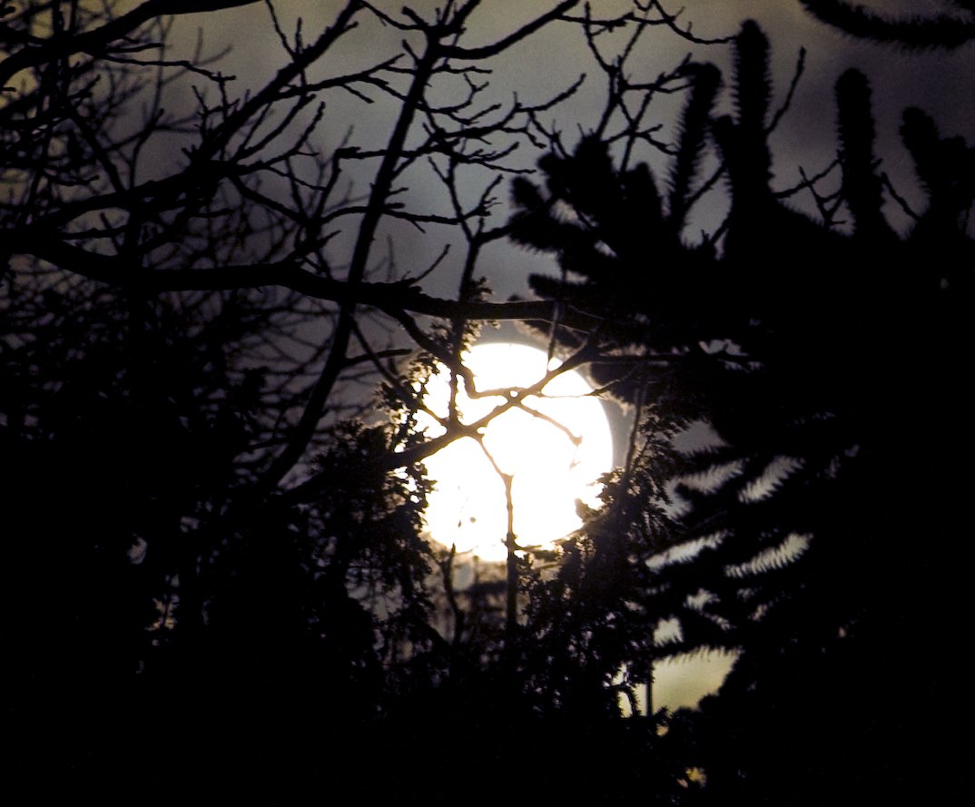 ... tender is the night,
And haply the Queen-Moon is on her throne,
Clustered around by all her starry fays;
But here there is no light,
Save what from heaven is with the breezes blown
Through verdurous glooms and winding mossy ways.

#Keats