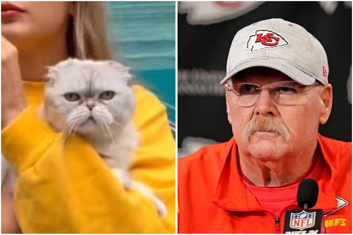 taraashaston's tweet photo. Taylor made Andy Reid into a cat she’s too powerful https://t.co/fMJ61JjpcN