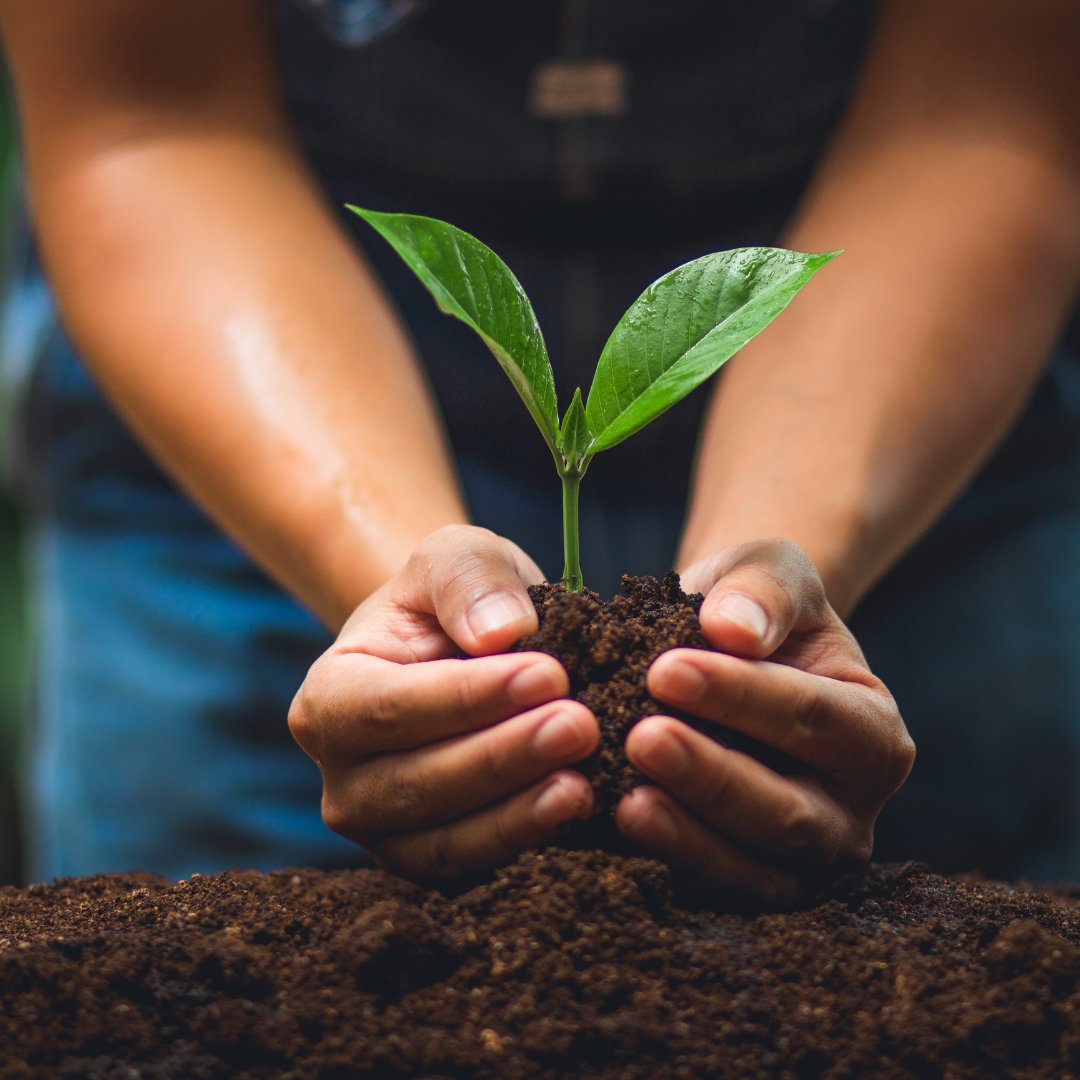 EACOE's tweet image. The best time to plant a tree was twenty years ago. The second best time is now.
Sam Says: The best time to do Enterprise Architecture or Business Architecture was twenty years ago.  The second best time is now.
#EnterpriseArchitecture #BusinessArchitecture