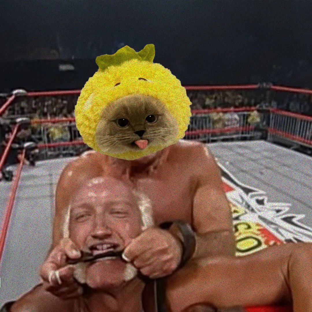 Another copycat tried to take on Xiao Jie, but we got them in a chokehold! 😸💪 No one outmatches the OG! #Xiaojiecat #XIAO #WrestlingChamp #CryptoFight