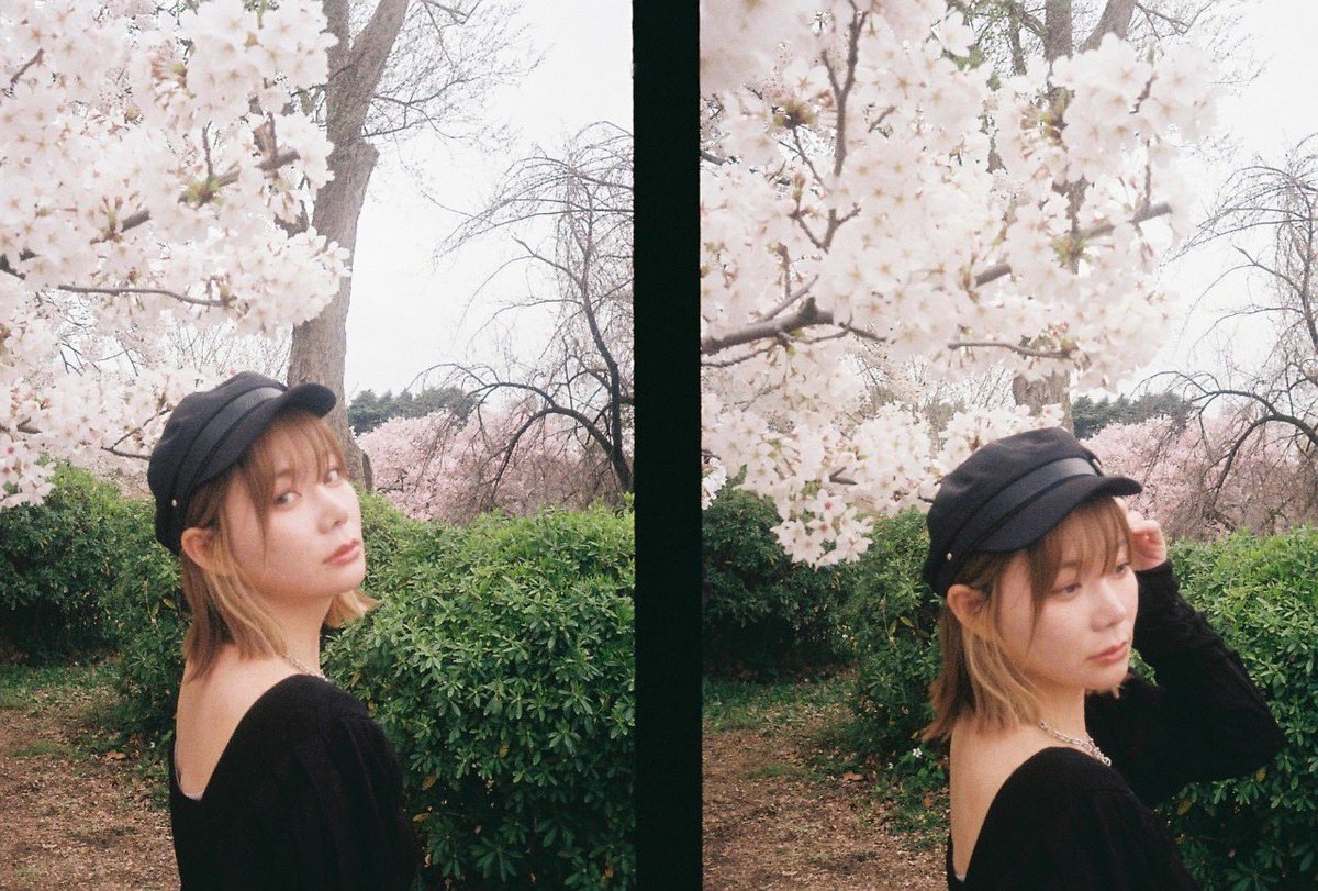 kotora_mokacora's tweet photo. 前に友達みんなで花見行った時に撮ってくれたやつ🌸

フィルムっていいよね https://t.co/8EJ8qv1TDx