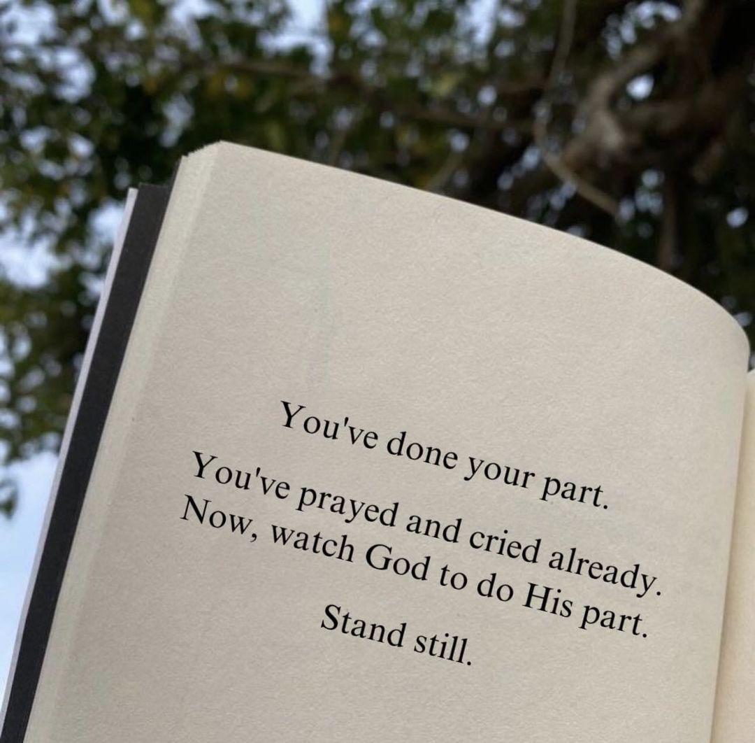 quotetoponder's tweet photo. Stand still. 💪 https://t.co/98Yk9s7Ycf