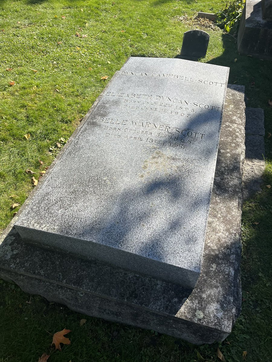 Sean Carleton tweet media