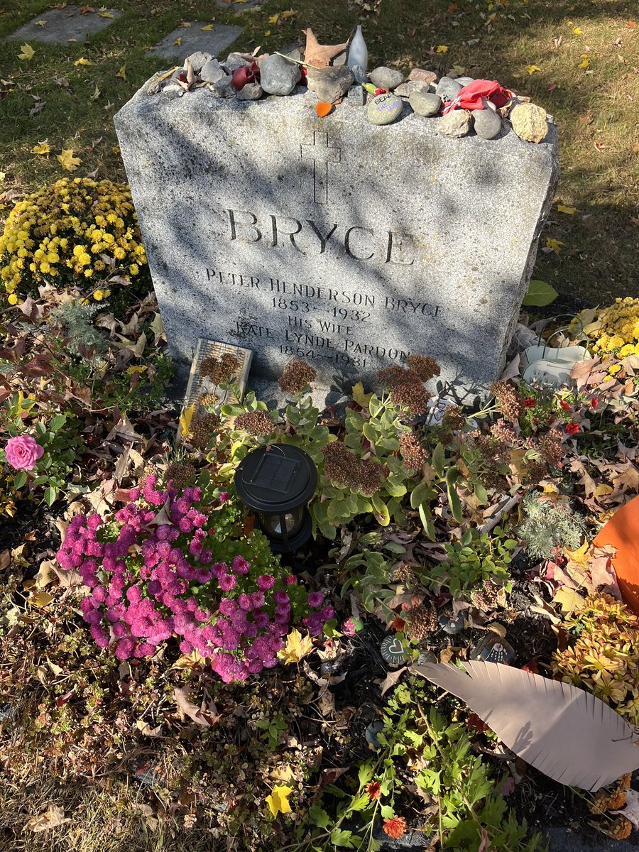 Sean Carleton tweet media