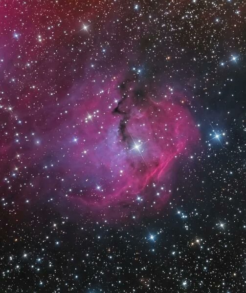 LeeAnneGibbon1's tweet photo. NGC 2327 (vdB93-1) is a roughly circular H11 region about 3,653 light years away in Monoceros. Part of the larger IC 2177 complex, it represents the head of the Seagull Nebula bordering Canis Major and is beautifully illuminated by the Be star, HD 53367. 📷 SPL #NGC2327 #IC2177 https://t.co/yWX10fqjZF