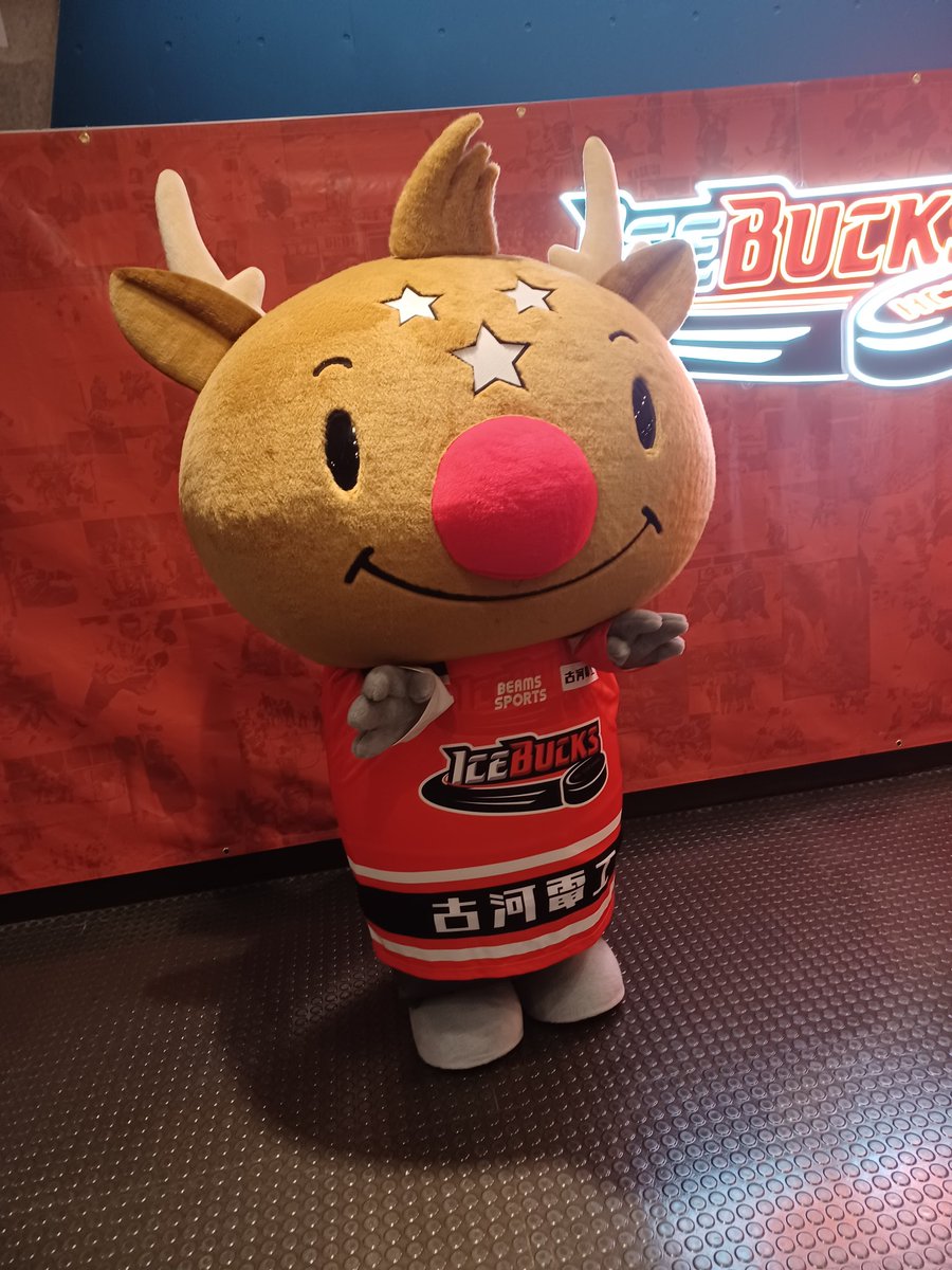 nekominodanna's tweet photo. There are buses from Tobu Nikko Station at 12:15 and 13:15. 300 yen. Tickets start from 3,000 yen. Stadium food and alcohol are available for purchase. Let's go to the hottest ice hockey match in Japan! Let's go to Toshogu Shrine tomorrow! #NikkoCity #IceHockey 🏒🦌🐬 https://t.co/vbTO1eSpxd