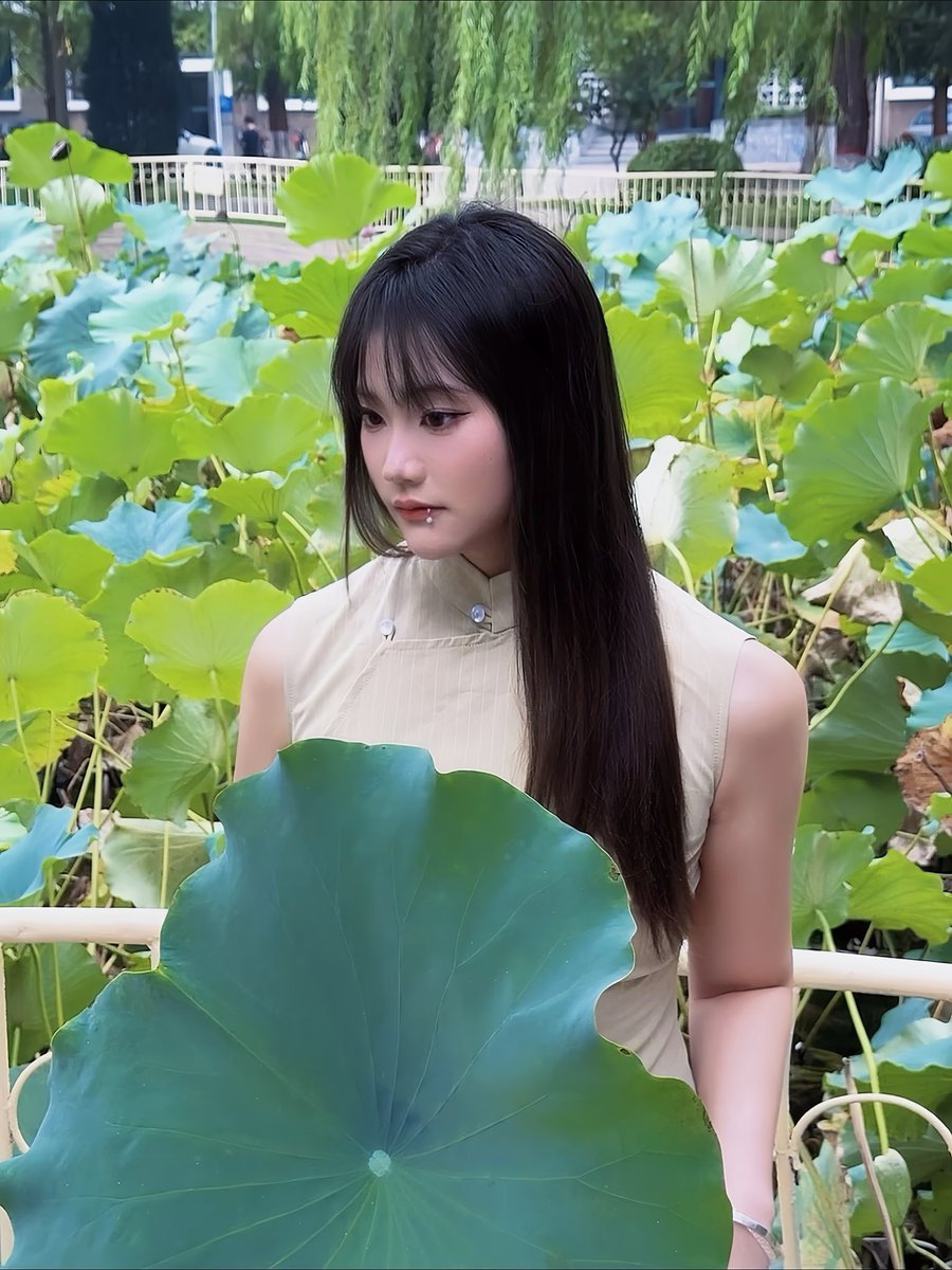 gaga_ix's tweet photo. 🍃 https://t.co/h6PubNlvjl