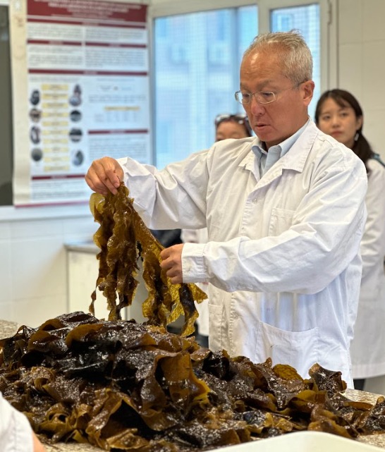 Empresa japonesa regresa a la Patagonia para comercializar wakame con el apoyo del CIDAPAL de #UTNChubut.

Más información: bit.ly/KOWA2024