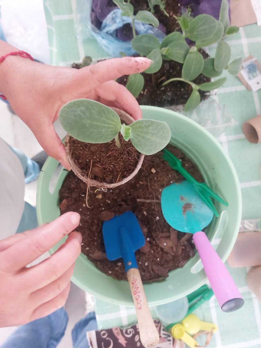 ¡Este fin de semana iniciamos con éxito diversas actividades en Jardines de San Miguel #León como parte del proyecto EcoZonas! Desde una limpieza comunitaria hasta talleres de productos sostenibles, la comunidad se une para impulsar un entorno más verde y saludable. ✨ #EcoZonas
