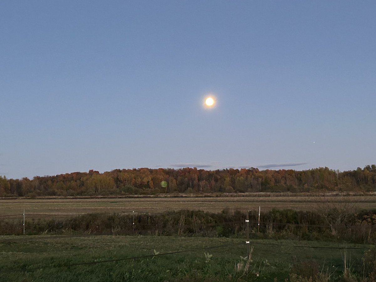 Frederic Jacob tweet media