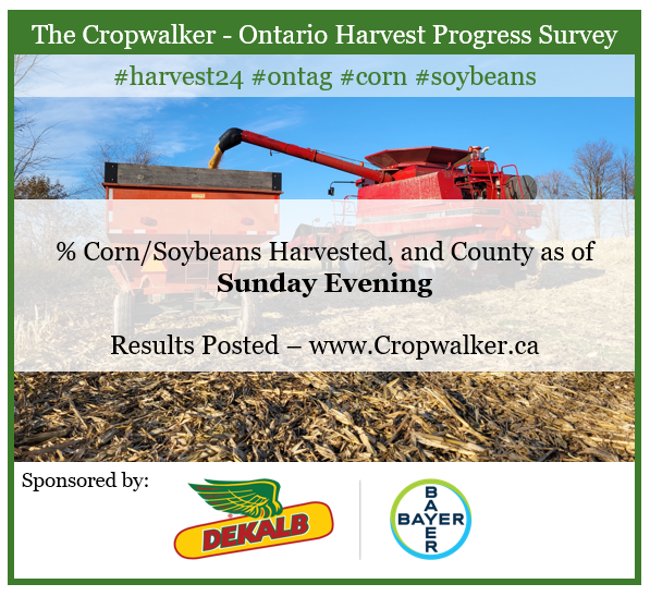 2024 Cropwalker Harvest Progress Survey – 
The combine got full and the cart got full
But the combine unloaded when the truck showed up
But the truck got stuck in the elevator rut,
Which eventually unloaded out the cart
With some difficulty
Well more corn than we'd seen for a