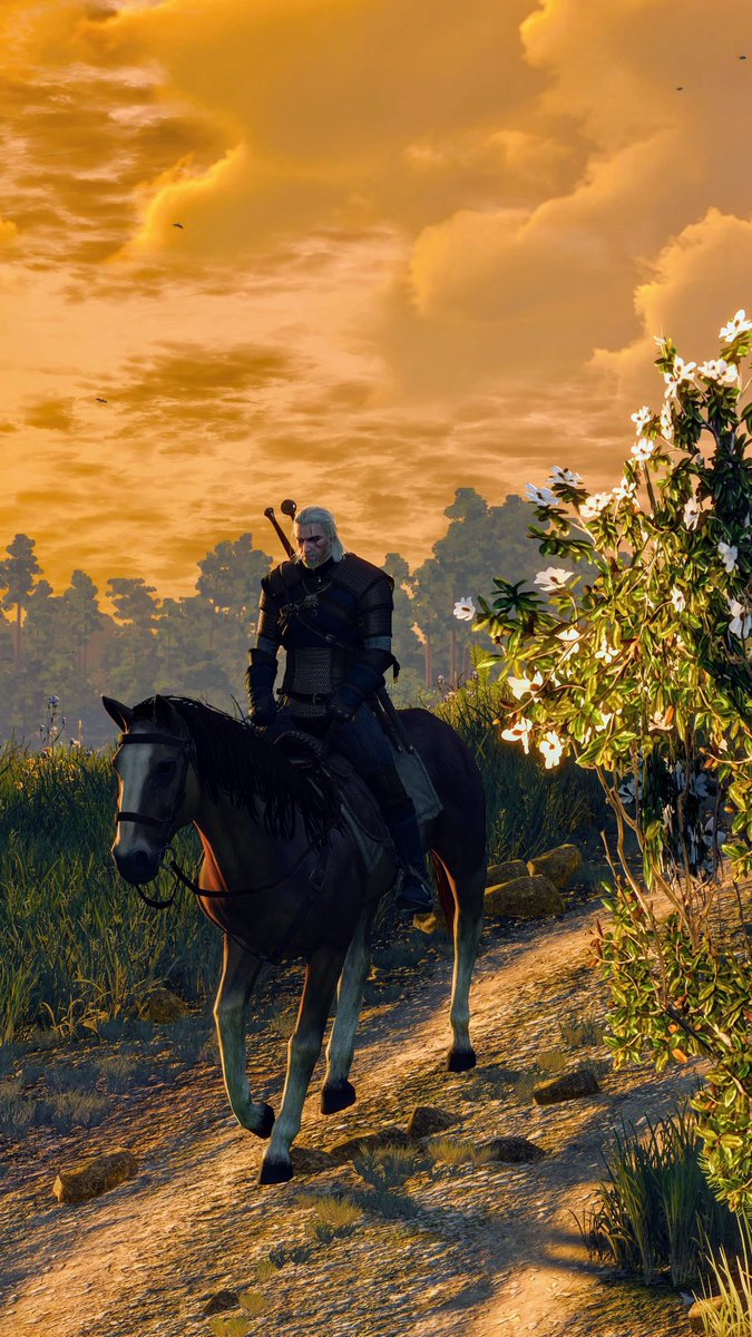 FlyingRodentVP's tweet image. Roach

• • •

Game: The Witcher 3: Wild Hunt
Developer: @CDPROJEKTRED

• • •

#virtualphotography
#gamingphotography
#gamergram
#thephotomode
#vpcollective
#vpgamer
#TheWitcher
#TheWitcher3
#Geralt
#TheCapturedCollective
#PS5Share
