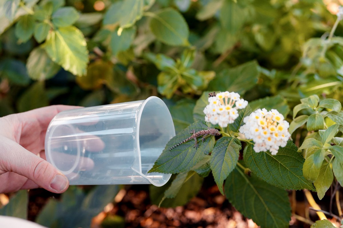 Shipshape Urban Farms tweet media