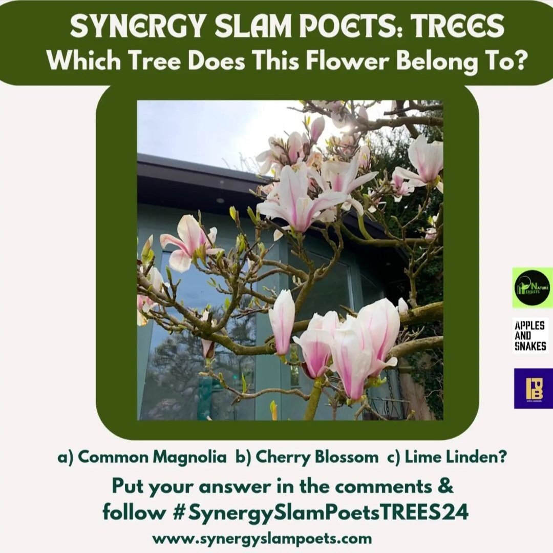Synergy Slam Poets tweet media