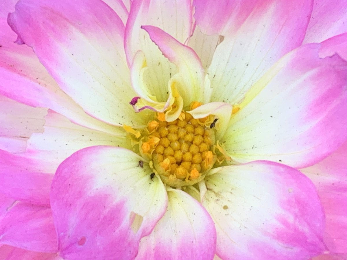 Lance Anderson tweet media