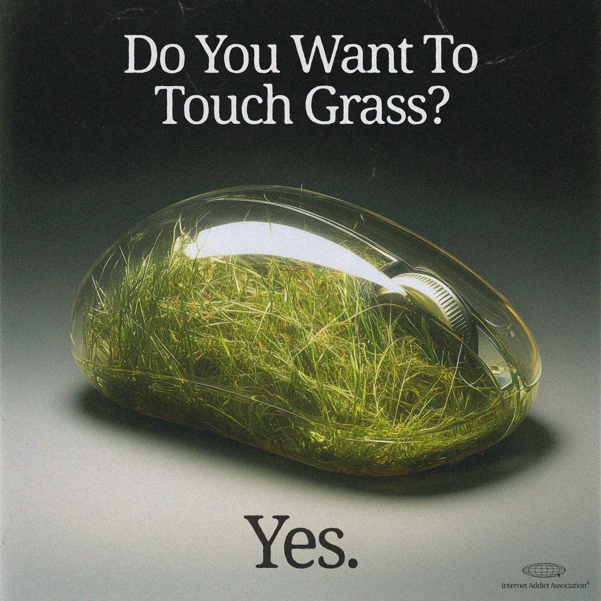 𝙗𝙡𝙖𝙣𝙠 tweet media