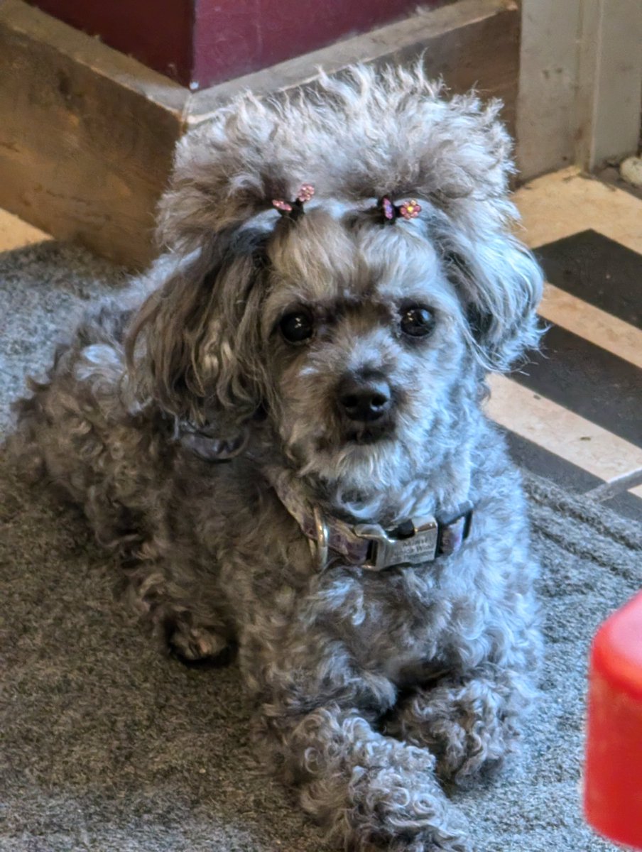 Liz Mangum tweet media