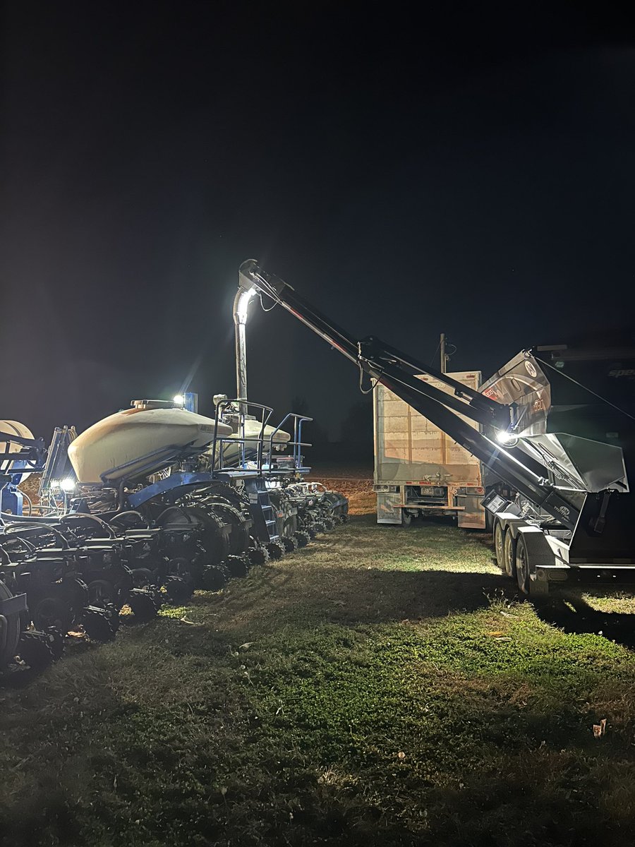 Going to stick some poverty grass in the dirt tomorrow. I do it a little different and put it behind corn in place of a cover crop on our sandy acres. Notill it with a 15” planter between corn rows, come back and split both old rows with 15” beans #crop25