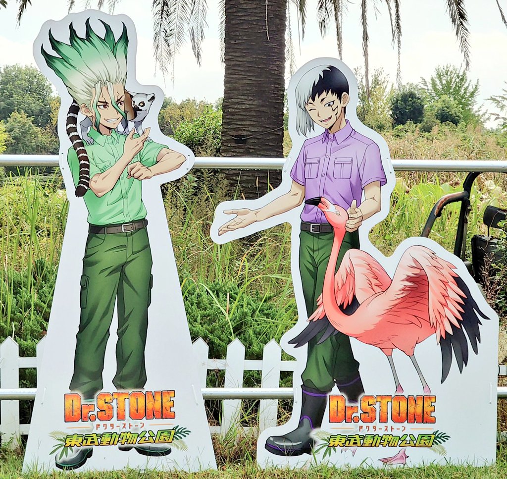 irino41's tweet photo. 🐒🦩千ゲちゃんたち！
動物公園きました https://t.co/v6HpHQ0UWG