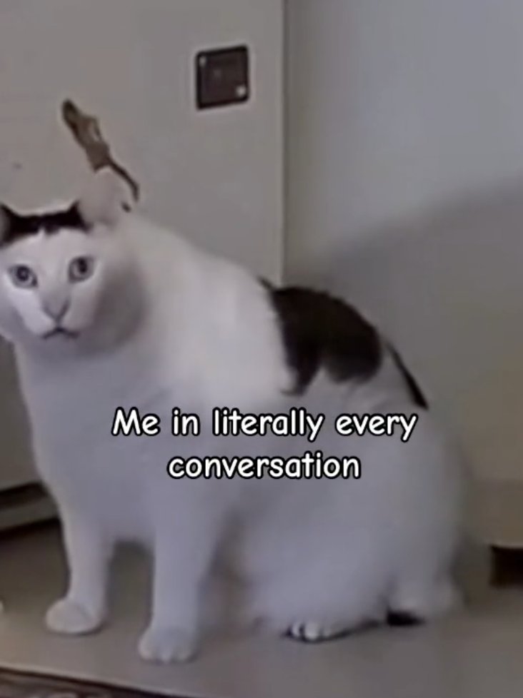 OGHUHCAT's tweet photo. Say that again please 

$HUH https://t.co/otkBOJnWCS
