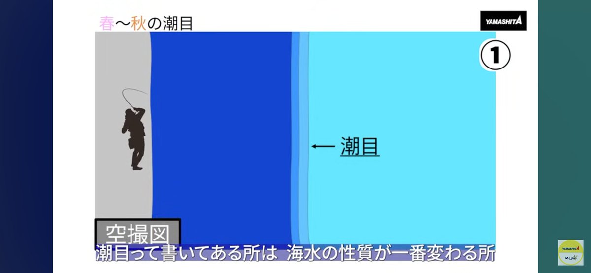 bocchi_the_f1sh's tweet photo. 潮目釣れる言うけど、どういうメカニズムで発生しているかは知らなかったのでとても勉強になりました！！ https://t.co/rKCH910gmz