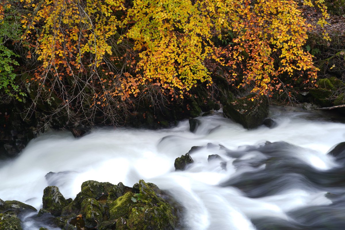 Ben La𝕏 tweet media