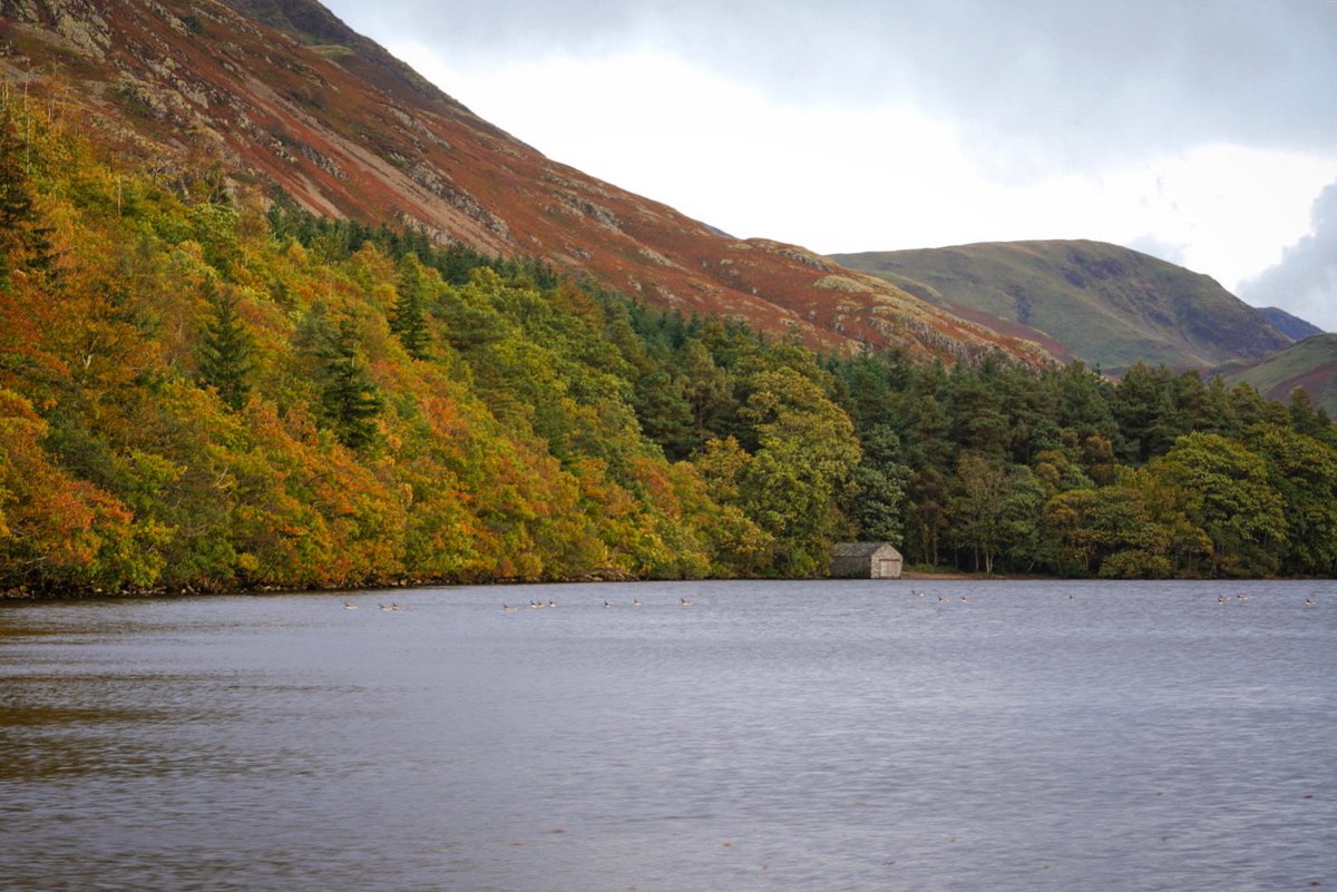 Ben La𝕏 tweet media