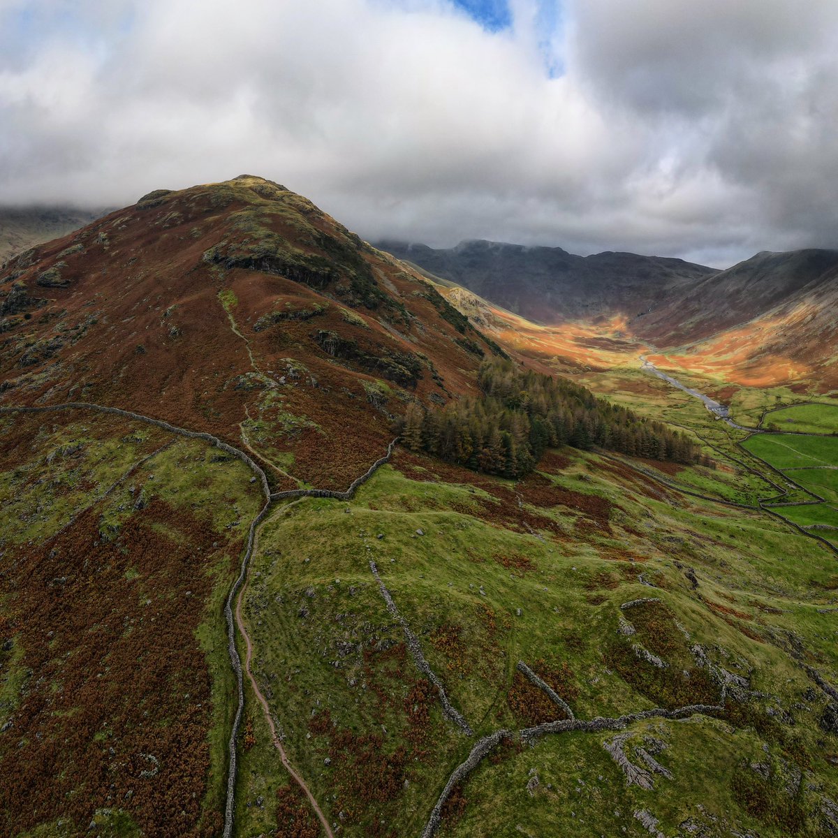 Ben La𝕏 tweet media