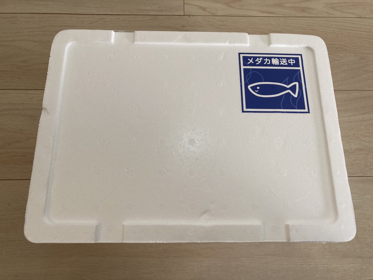 Medaka_kun_'s tweet photo. こんにちはメダカ😃

購入して頂いたメダカ達を梱包📦
無事に届きますように😌✨

#メダカ #めだか #アクアリウム #メダカ好きと繋がりたい #アクアリウム好きと繋がりたい https://t.co/lhalbG70I0